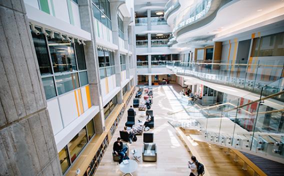 The sunlit Science Commons atrium features individual seating and group meeting spaces
