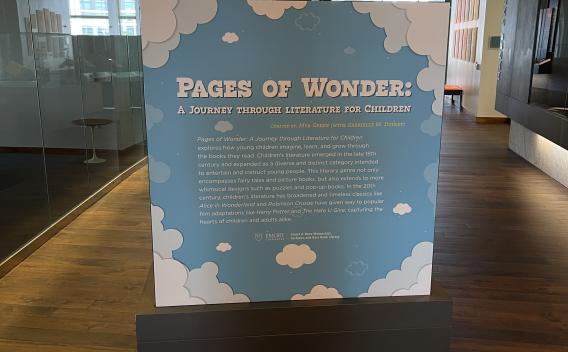 Exhibit case about children's books