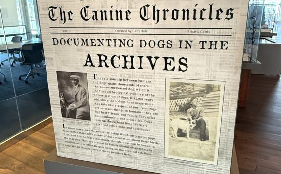 Display of exhibit about dogs